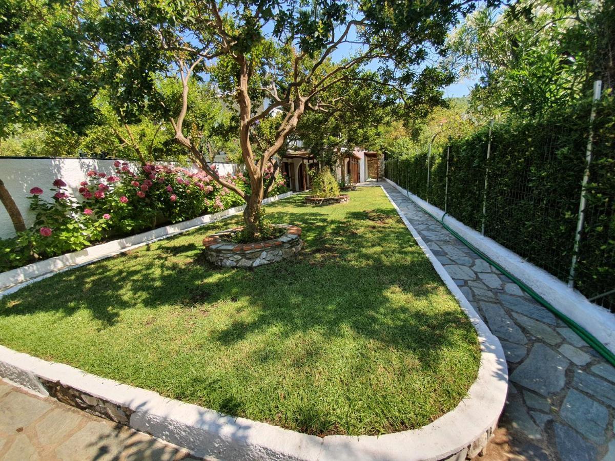Dionisos Studios And Apts Skiathos コウコウナリス エクステリア 写真