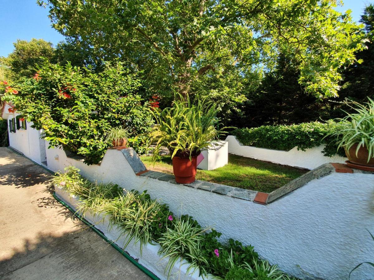 Dionisos Studios And Apts Skiathos コウコウナリス エクステリア 写真