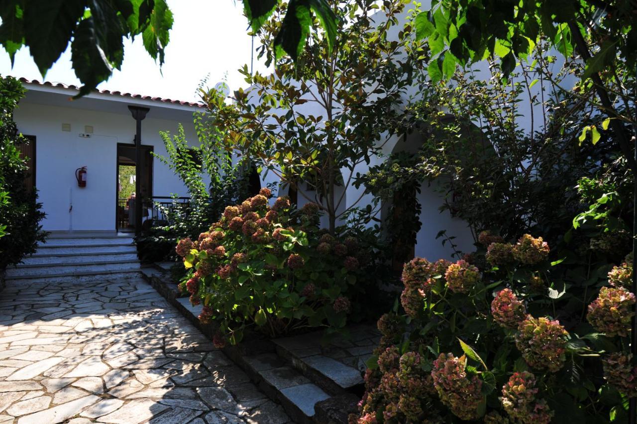 Dionisos Studios And Apts Skiathos コウコウナリス エクステリア 写真